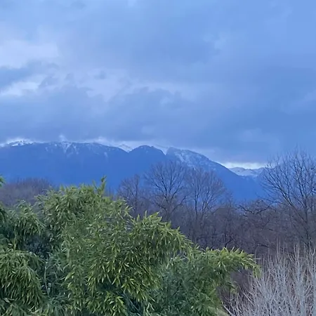 Lägenhetshotell Residence19ilborgo *