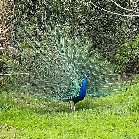 Residence19ilborgo * Asolo